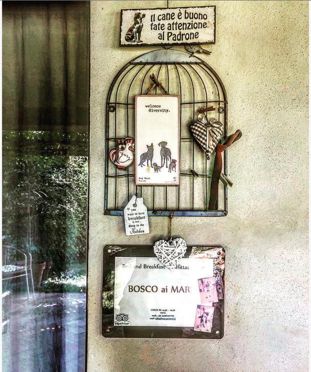 Bed and Breakfast Bosco Ai Marzi Poggibonsi Exterior foto