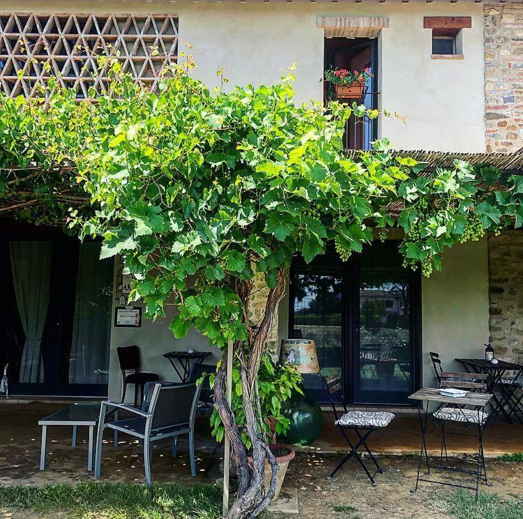 Bed and Breakfast Bosco Ai Marzi Poggibonsi Exterior foto