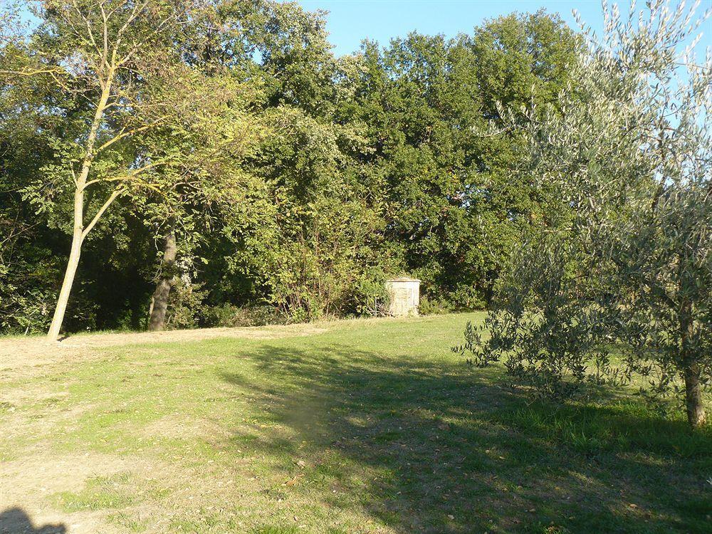 Bed and Breakfast Bosco Ai Marzi Poggibonsi Exterior foto