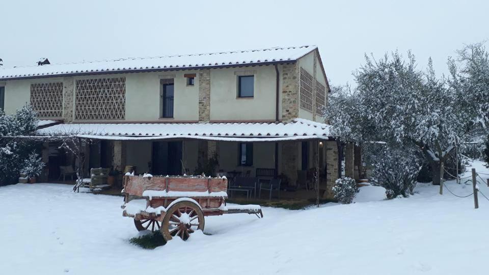 Bed and Breakfast Bosco Ai Marzi Poggibonsi Exterior foto